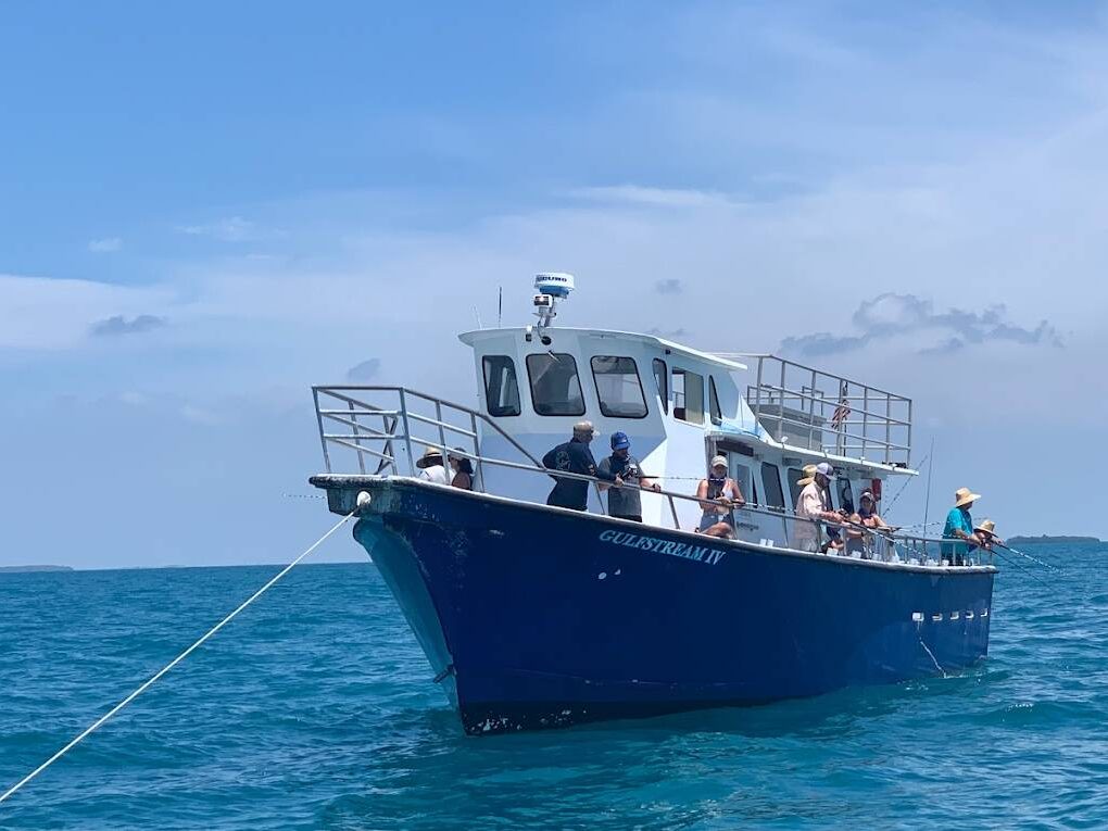 Gulfstream Key West – Head Boat