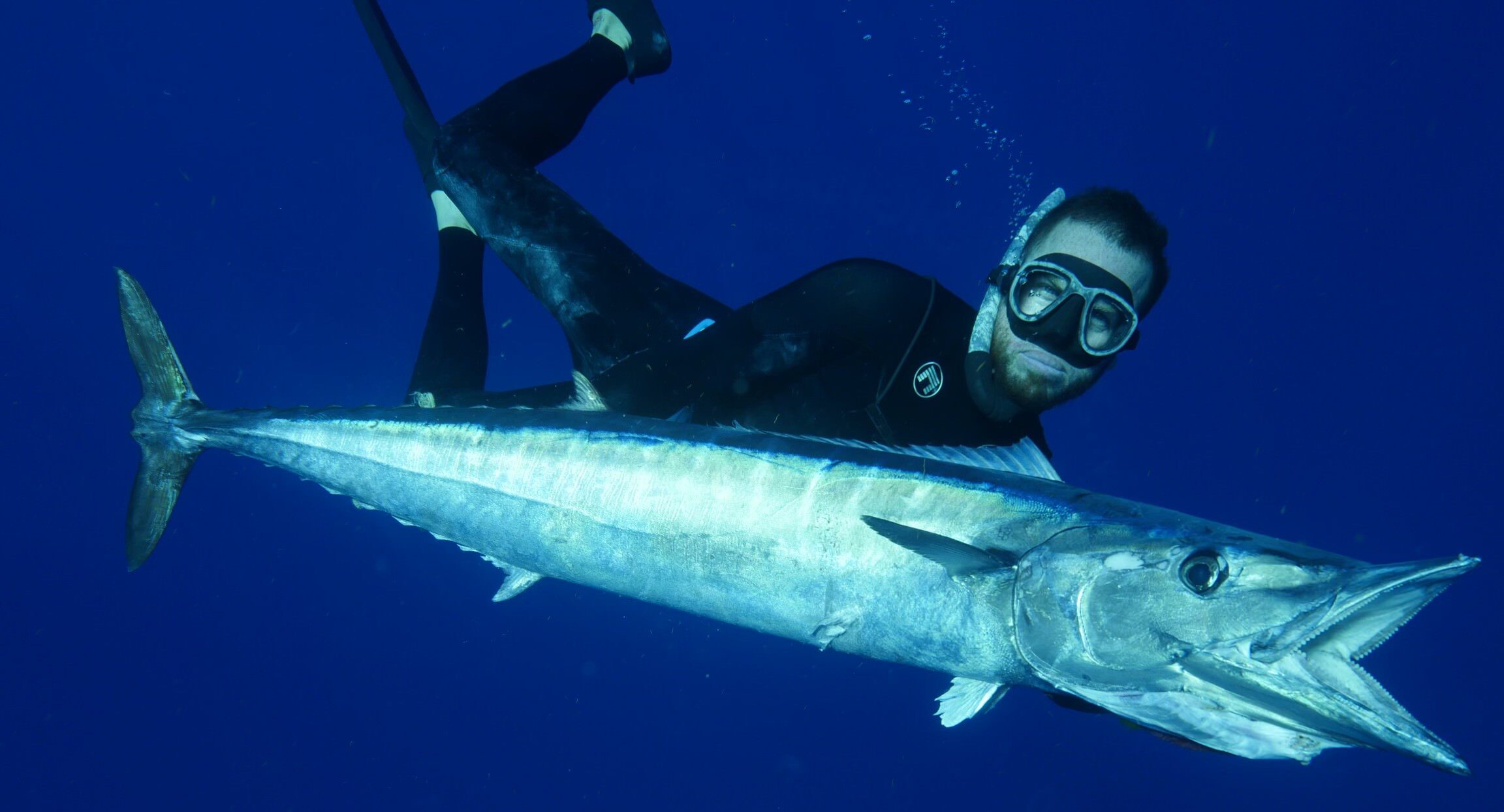 Diver with wahoo fish underwater during spearfishing charter in Key West.