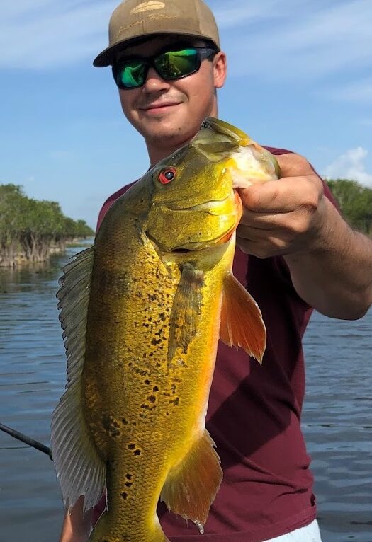 Reel Guides: Top 10 Freshwater Fishing Trips In Florida