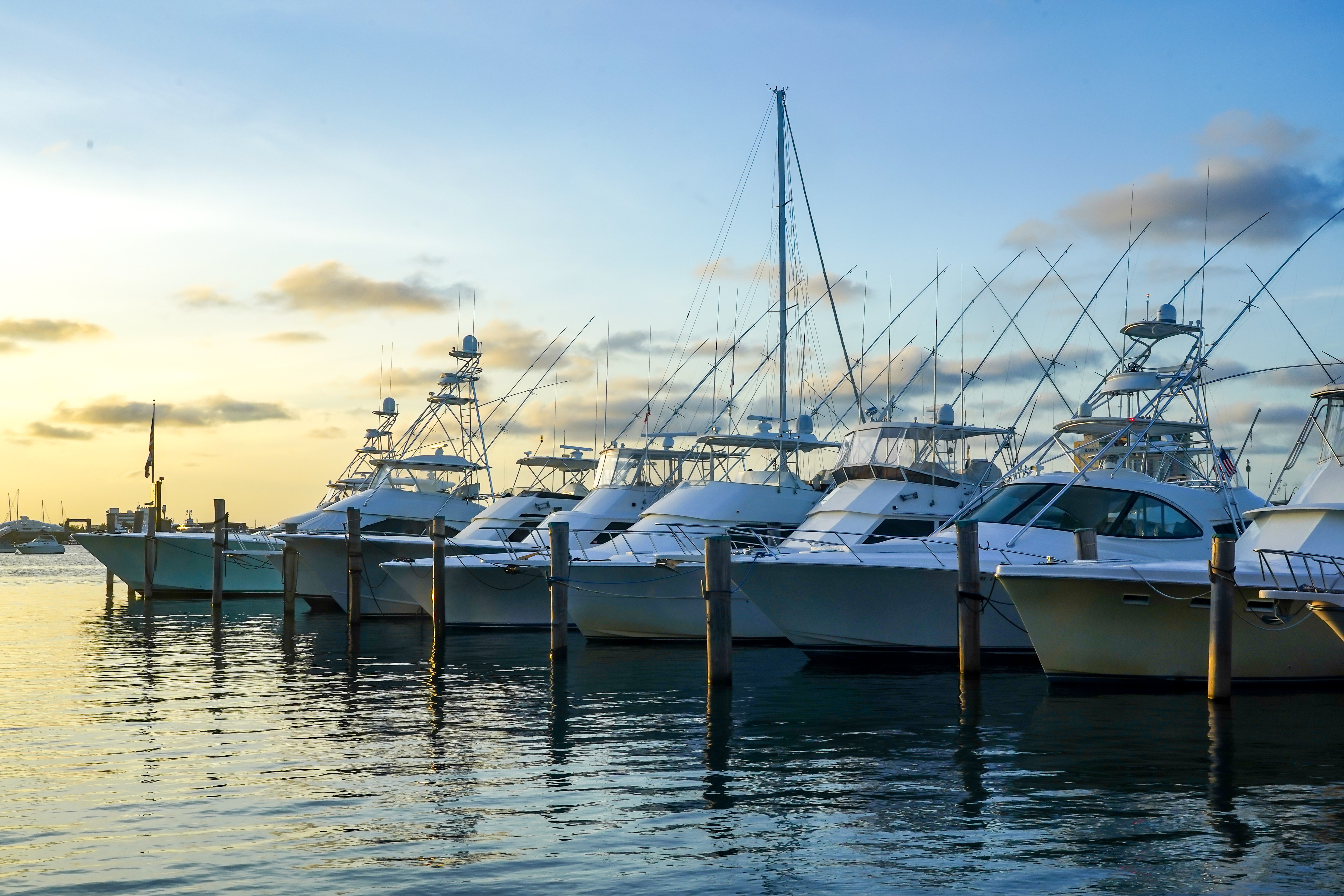 Fishing charter boats docked at a marina, showcasing a picturesque scene of recreational fishing vessels ready for adventures on the water.