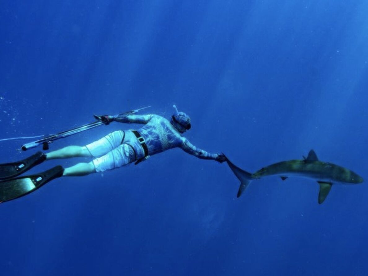A man in a wetsuit spearfishing underwater with a Riffe gun encounters a shark in the ocean.