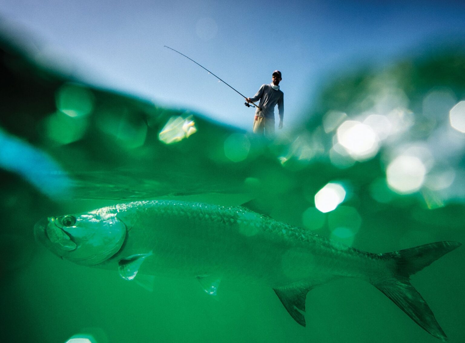 Boca Grande Tarpon Fishing | Angler's Guide In 2024