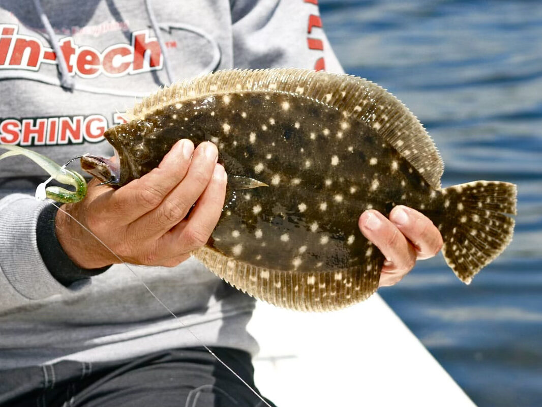 flounder rig while on fishing charter