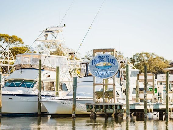 BEST Inshore Fishing Charters: Top 5 Places to Fish in Florida