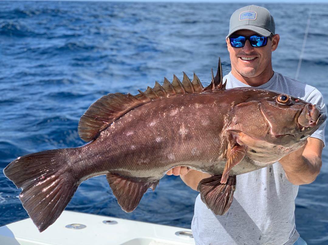 Snowy Grouper: Fishing Secrets, New Season, and More in 2024