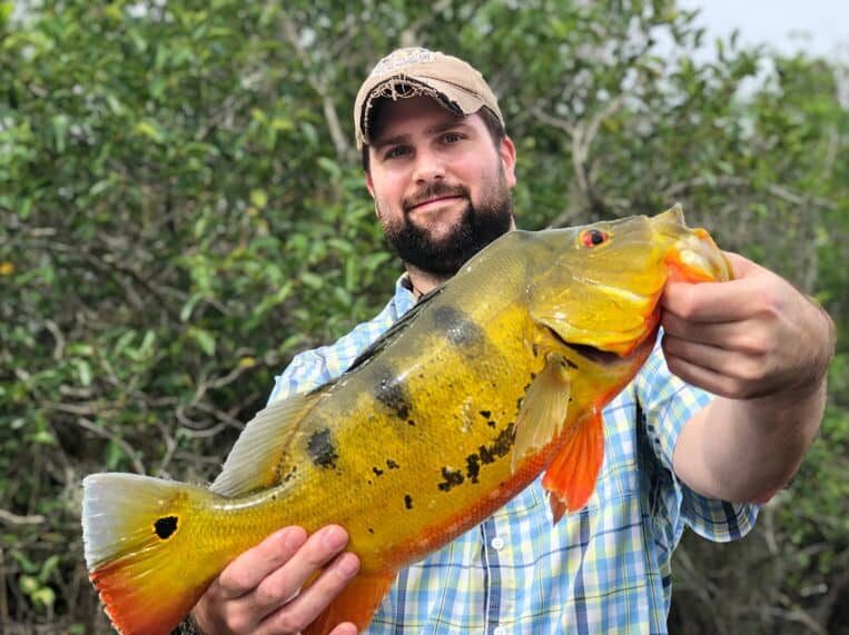 Catching Peacock Bass in Florida: Top 5 Fishing Tips!