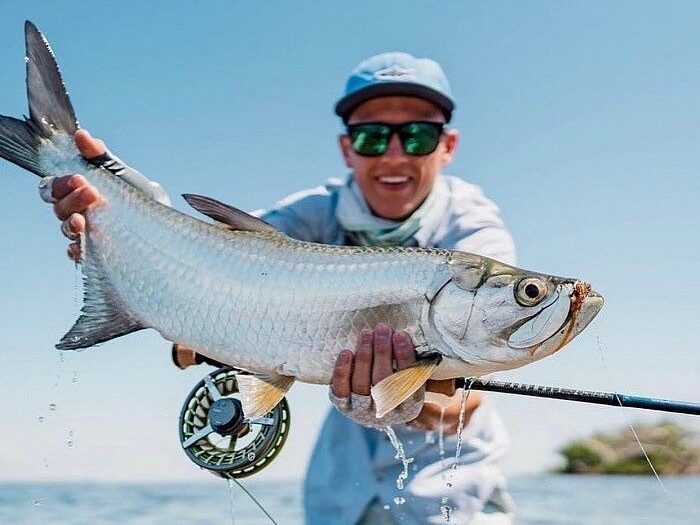 Fly Fishing for Tarpon: Must-Know Secrets for Success