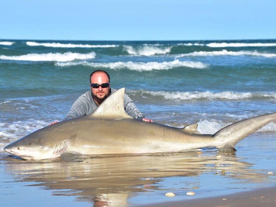 Shark Fishing From the Beach: Everything You Need to Know