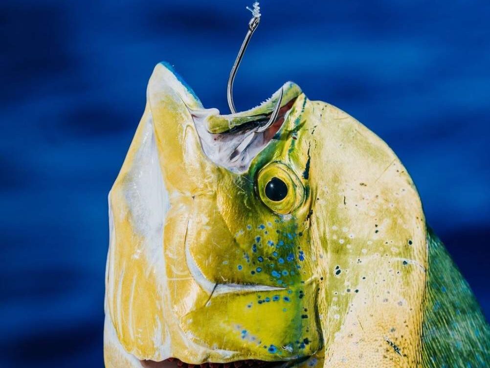 Must-Have Fishing Gear for Saltwater Fishing