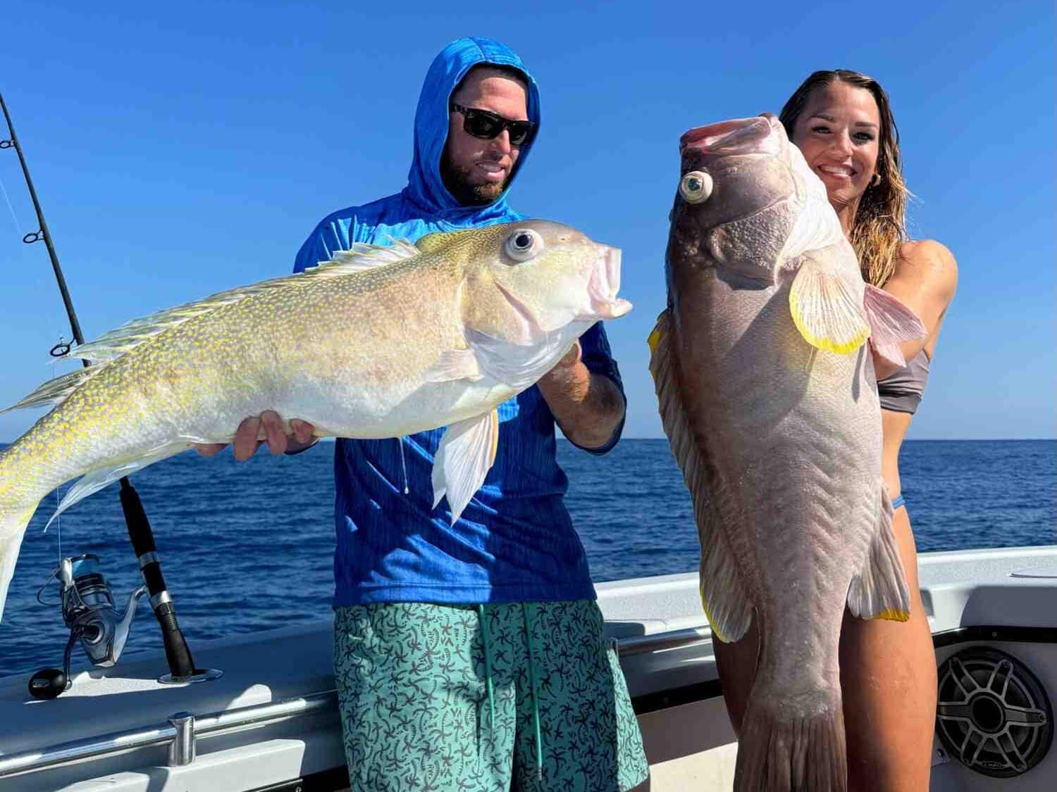 Golden Tilefish: Rigs, Tips & Setup for Deepwater Fishing