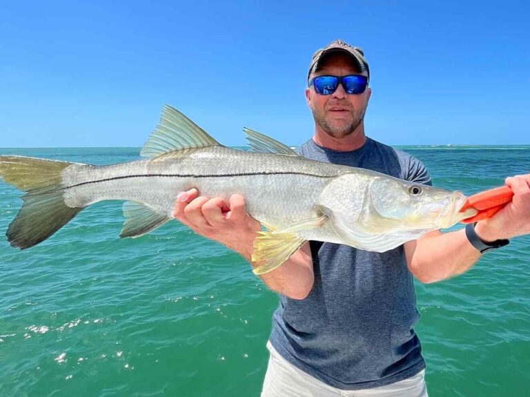 The Best Snook Rig Setup | Gear, Lures, Bait, And Techniques