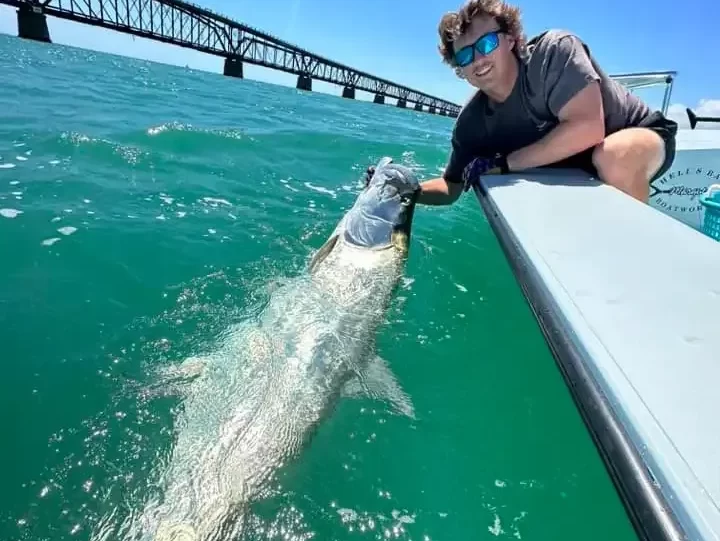 Tarpon Fishing (Bahia Honda)