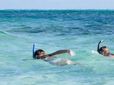 Florida Keys Snorkelling: The Best Reefs & Tours