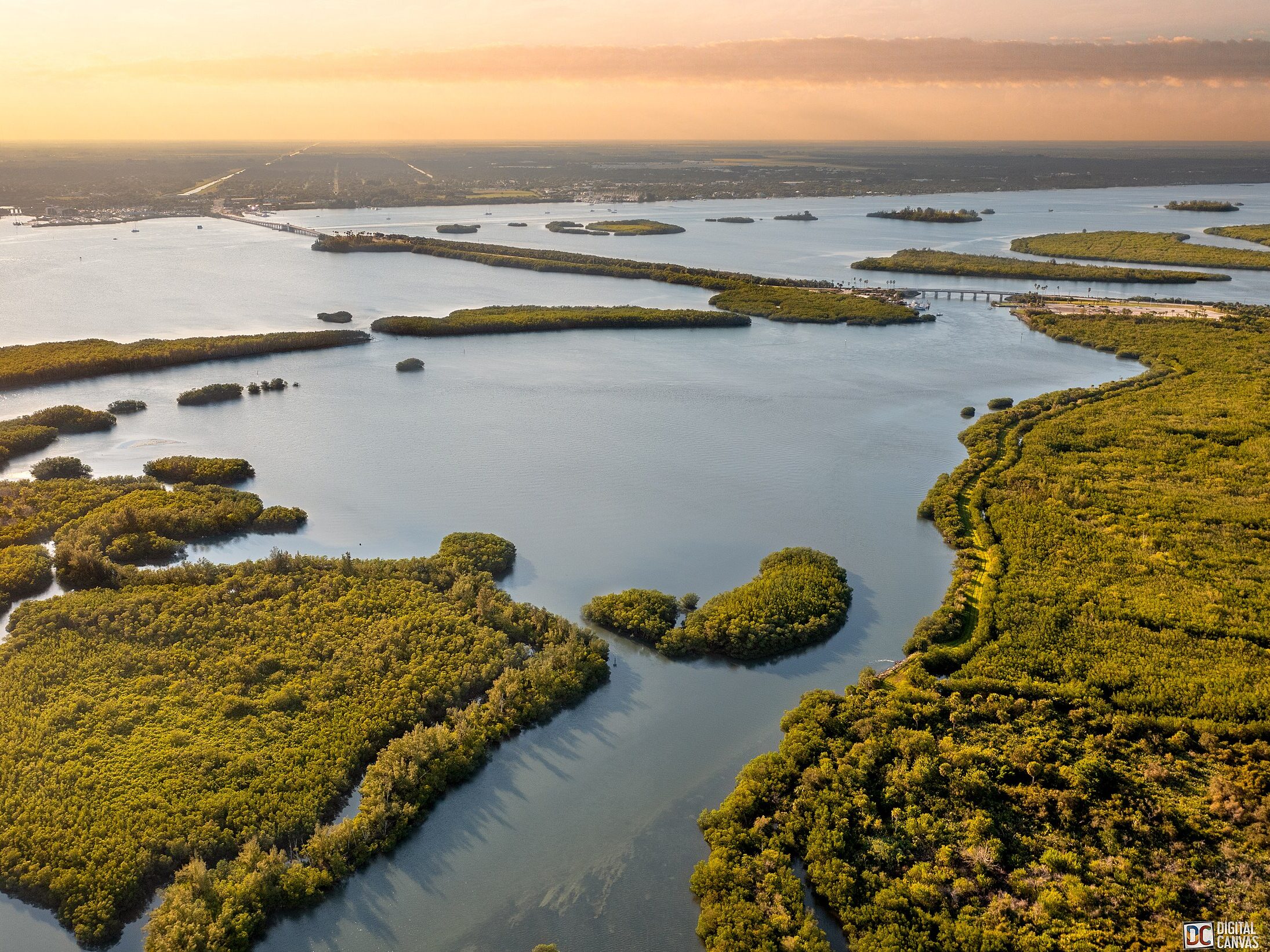 Fishing in the Indian River Lagoon