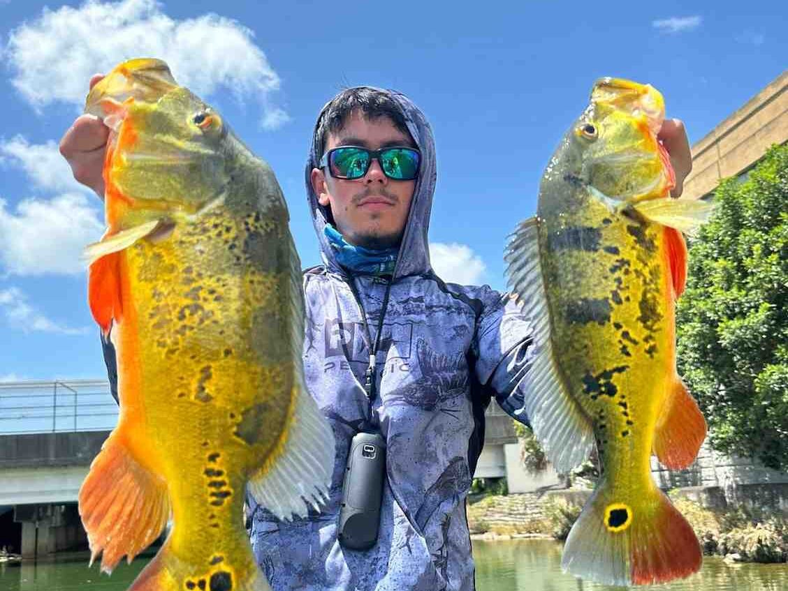 RB Charters