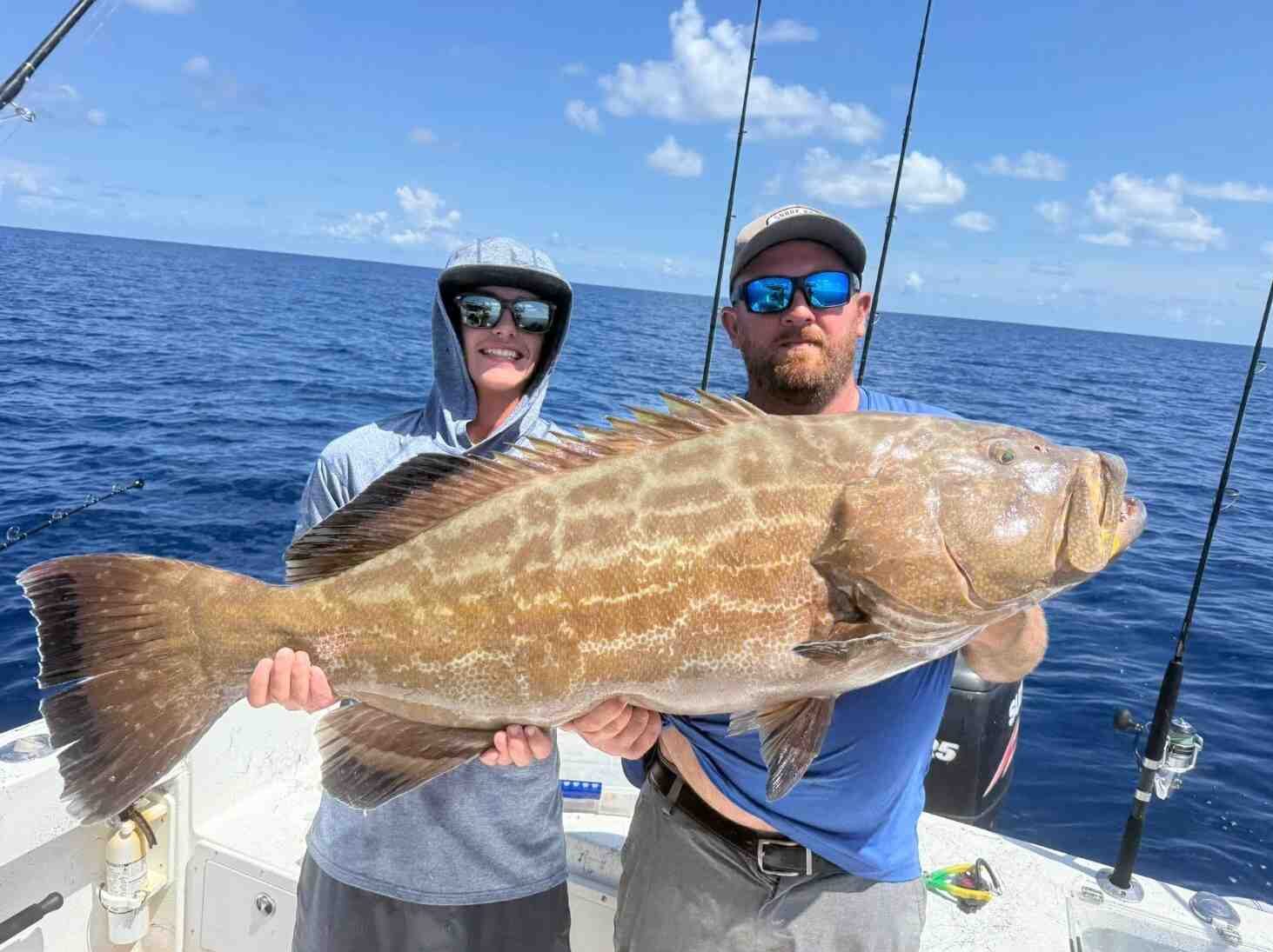 Live Action Charters