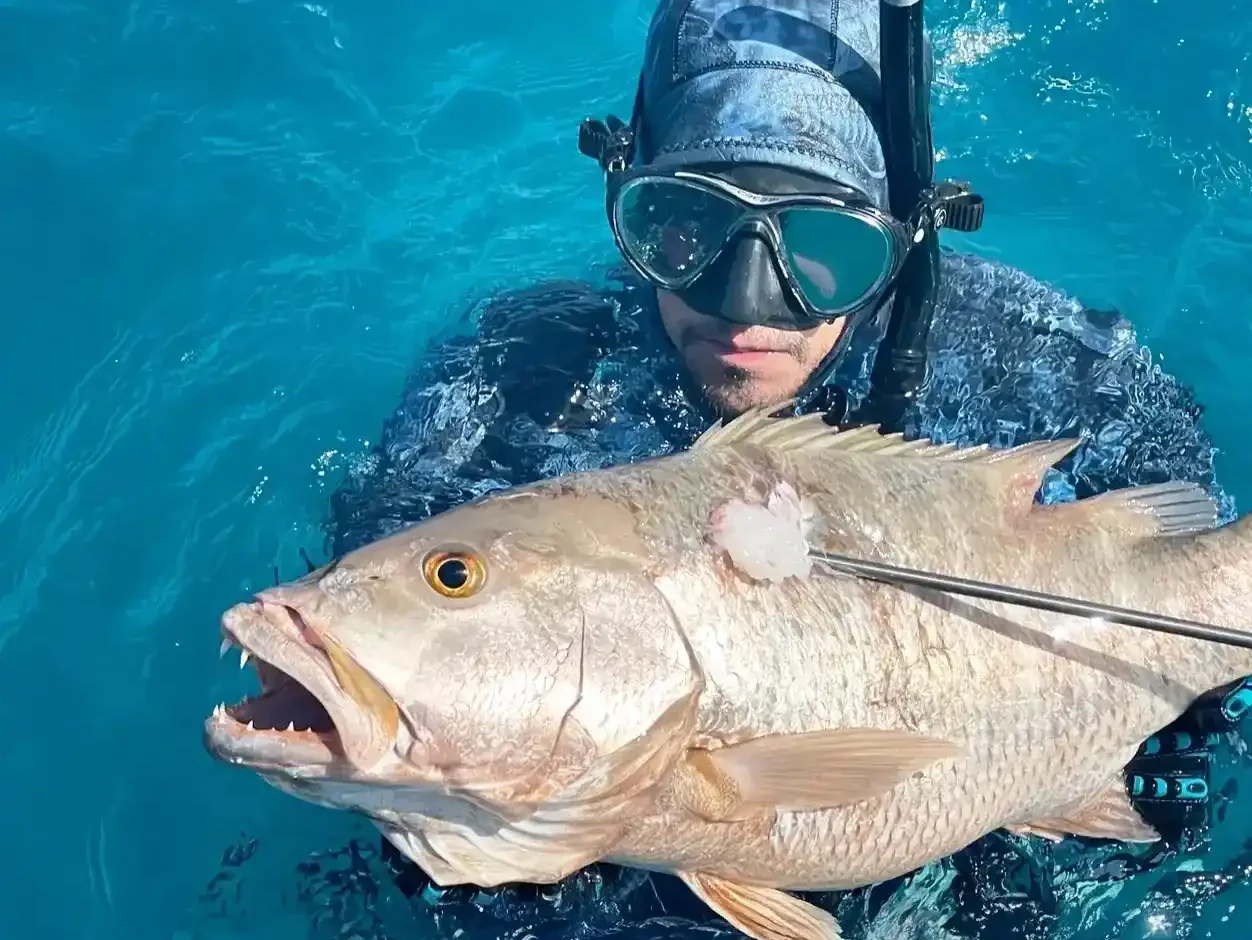 Above & Below (Spearfishing)