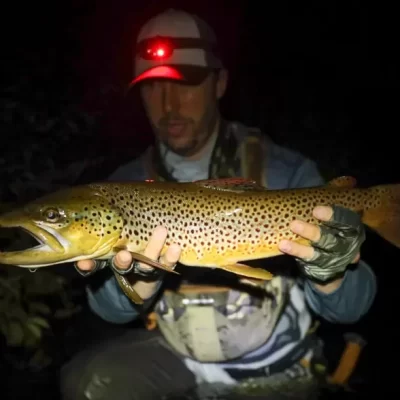 night fishing charter