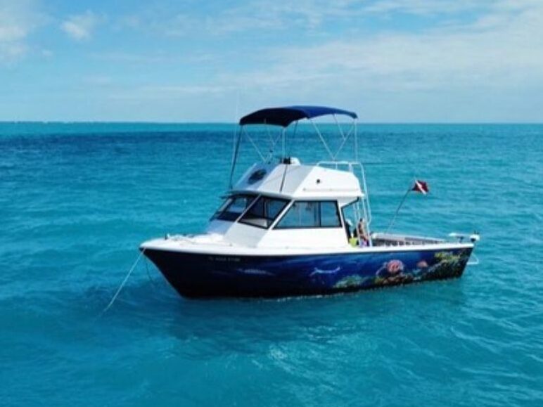 Snorkel & Sandbar Charter