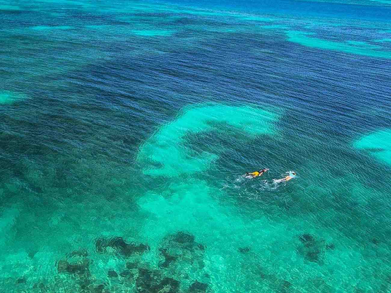 Key West Snorkelling: Everything You Need to Know