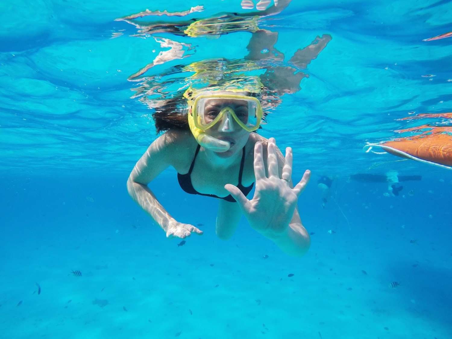 key west snorkelling girl underwater Reel Guides Woman enjoying Key West snorkelling underwater surrounded by colorful marine life