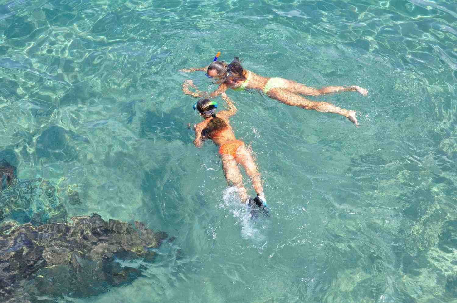key west snorkelling Reel Guides Key West snorkelling adventure exploring coral reefs and tropical waters in the Florida Keys
