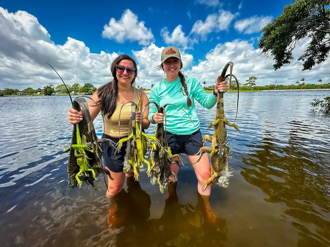 Reefs to Rivers (Iguana Hunting)