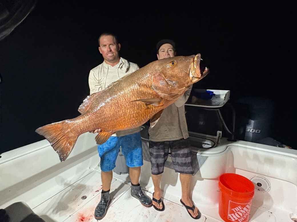 Best Night Fishing Charter in Islamorada: Reel Guides