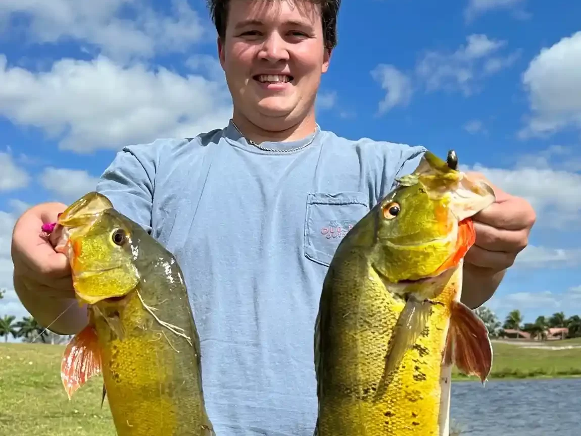 Peacock Bass Fishing