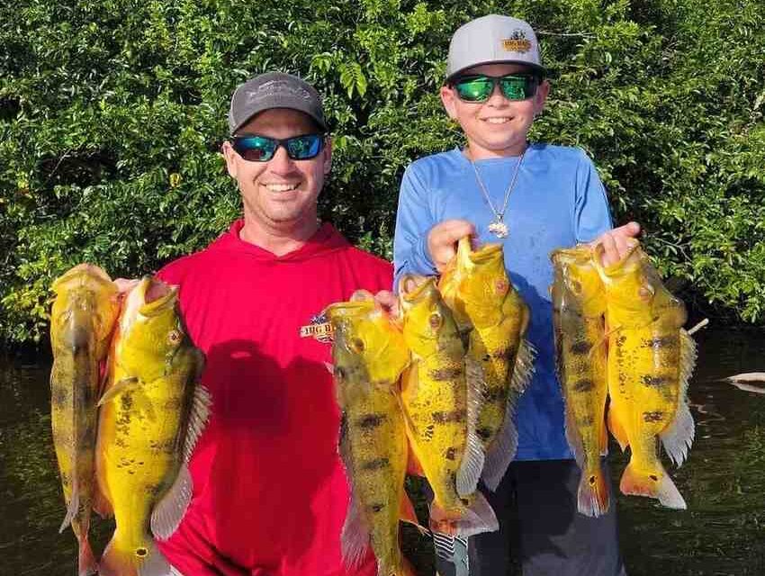 Reefs to Rivers (Peacock Bass Fishing)