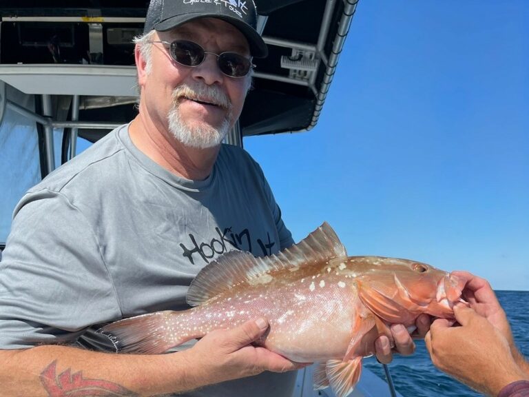 Offshore Fishing