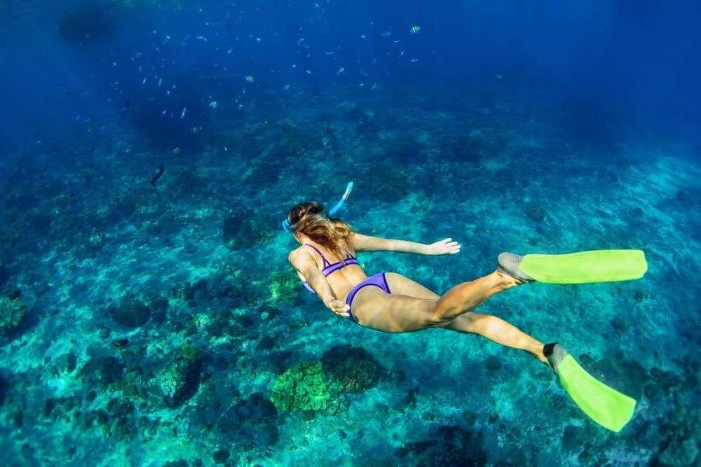 snorkeling key west Reel Guides Key West snorkelling experience featuring coral reefs, clear water, and tropical fish