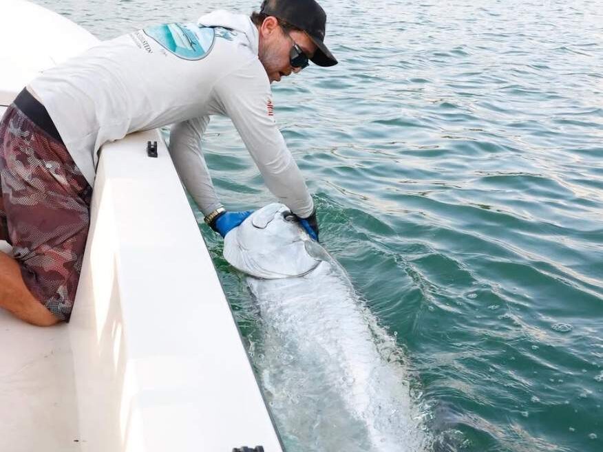 Reel McCoy Charters (Tarpon Fishing)
