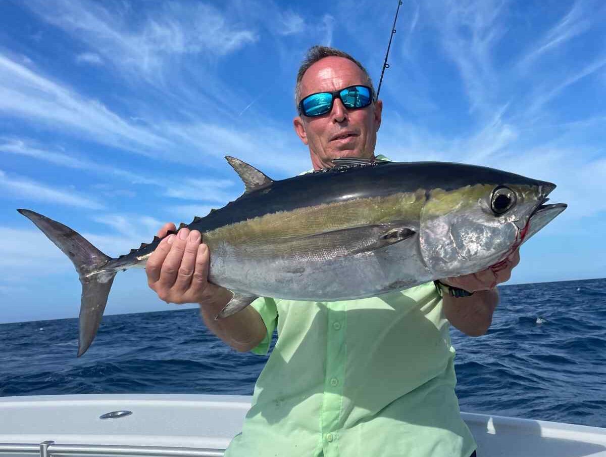 tuna pelagic fish e1758040684962 Reel Guides Large tuna, a powerful pelagic fish, caught and displayed on deck during a deep sea trip explaining what does a pelagic fish mean.